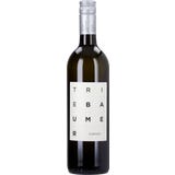 Weingut G&uuml;nter u. Regina Triebaumer Furmint Rust 2025