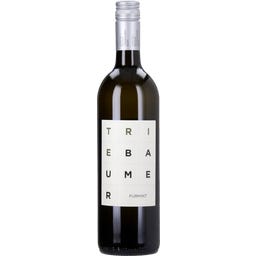 Weingut Günter u. Regina Triebaumer Furmint Rust 2025