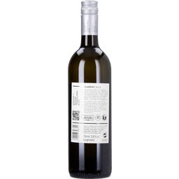 Weingut Günter u. Regina Triebaumer Furmint Rust 2025