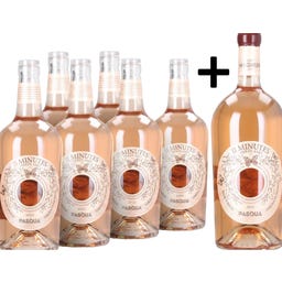  6+1 Magnum GRATIS 11 Minutes Rosé