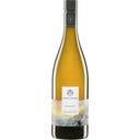 Weingut Gesellmann Chardonnay 2023 Bio