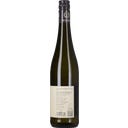 Weingut Ecker - Eckhof Gelber Muskateller Bio 2025