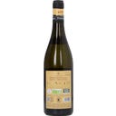 Pecorino I.G.T POGGIO SALAIA Terre di Chieti 2025 Bio