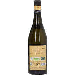 Pecorino I.G.T POGGIO SALAIA Terre di Chieti 2025 Bio