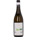 INCASTRO BIANCO IGT Terre di Chieti 2025 Bio