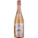 Fidora Prosecco DOC Rosé Brut Nature Bio 2025
