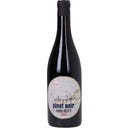 Weingut Gerhard Pittnauer Pinot Noir vom Dorf 2024 Bio