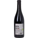 Weingut Gerhard Pittnauer Pinot Noir vom Dorf 2024 Bio