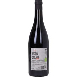 Weingut Gerhard Pittnauer Pinot Noir vom Dorf 2024 Bio