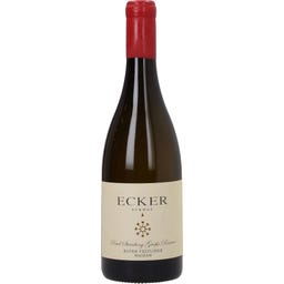 Roter Veltliner Ried Steinberg Große Reserve 2024 Bio