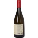 Roter Veltliner Ried Steinberg Große Reserve 2024 Bio