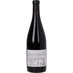 Dakishvili Cuvee Red Quevri FS 2023