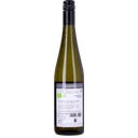 Riesling Terrassen Traisental DAC 2025 Bio