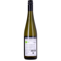 Riesling Terrassen Traisental DAC 2025 Bio