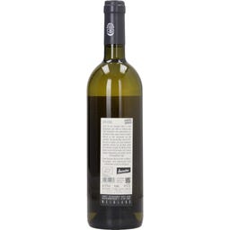 Weingut Ernst Triebaumer Der Vogel Sauvignon Blanc 2024 Bio