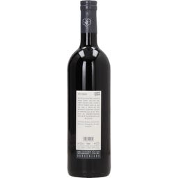 Weingut Ernst Triebaumer Blaufränkisch Gemärk 2023 Bio