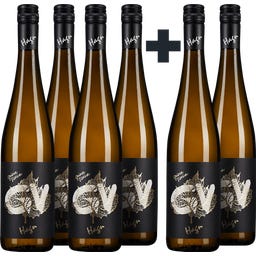 Weingut Hagn 4+2 gratis Grüner Veltliner Goldblatt 2024
