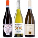 Neun Weine Box 3er Box: Lugana Probierpaket 2025