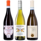 Neun Weine Box 3er Box: Lugana Probierpaket 2025