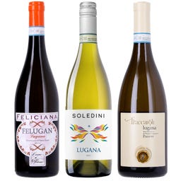 Neun Weine Box 3er Box: Lugana Probierpaket 2025