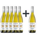 Soledini Lugana DOC 2025 - 6 x 0,75 L