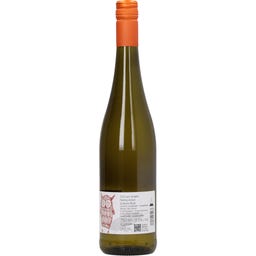 Weingut Carlo Schmitt Riesling vom Schiefer 2025 trocken - 0,75 l