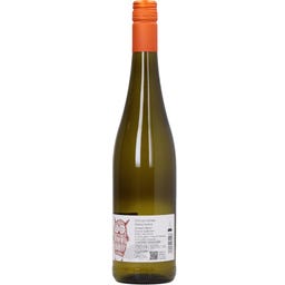 Weingut Carlo Schmitt Riesling vom Schiefer 2025 feinherb - 0,75 l