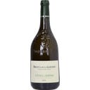 Brunel Père et Fils AOP Côtes du Rhône Blanc 2025 - 0,75 l