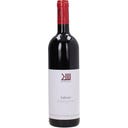 Muralia Babone 2023 DOC Maremma Toscana