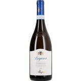 Allegrini Lugana Oasi Mantellina D.O.C. 2025