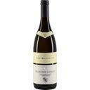 Muster.Gamlitz - Selektion Gamlitz Sauvignon Blanc DAC 2024 Lim.Edt.