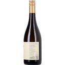 Roter Veltliner Ried Steinberg DAC 2025 Bio