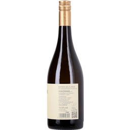 Roter Veltliner Ried Steinberg DAC 2025 Bio