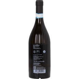 Serrocielo Falanghina del Sannio DOC 2025