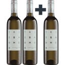 2+1 GRATIS Sauvignon Blanc Rust 2025
