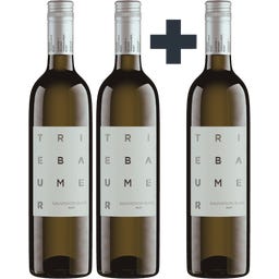 2+1 GRATIS Sauvignon Blanc Rust 2025