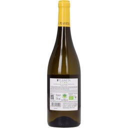 Planeta Etna Bianco - Contrada Taccione 2024