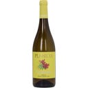 Planeta Terebinto Grillo Sicilia 2025 Bio