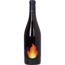 Menfi Chardonnay Sicilia DOC 2024 Organic 2025 Bio