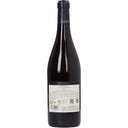 Menfi Chardonnay Sicilia DOC 2024 Organic 2025 Bio