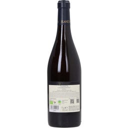 Menfi Chardonnay Sicilia DOC 2024 Organic 2025 Bio