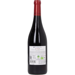 Etna Rosso - Contrada Feudo di Mezzo 2024 Bio