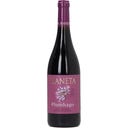 Plumbago Nero d’Avola Sicilia DOC 2023 Bio