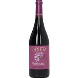 Plumbago Nero d&rsquo;Avola Sicilia DOC 2023 Bio