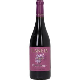 Plumbago Nero d’Avola Sicilia DOC 2023 Bio