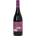 Plumbago Nero d’Avola Sicilia DOC 2023 Bio
