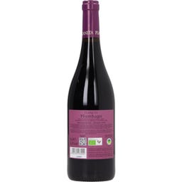 Plumbago Nero d’Avola Sicilia DOC 2023 Bio