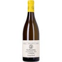 Weingut Kollwentz Chardonnay Leithakalk 2025 Bio
