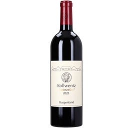 Weingut Kollwentz Steinzeiler Doppelmagnum 2023 Bio