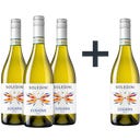 Soledini 3+1 Gratis Lugana DOC 2025 - 4x0,75L